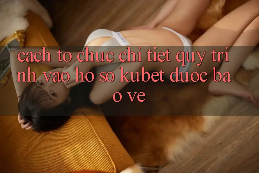 Cách tổ chức chi tiết quy trình vào hồ sơ Kubet được bảo vệ