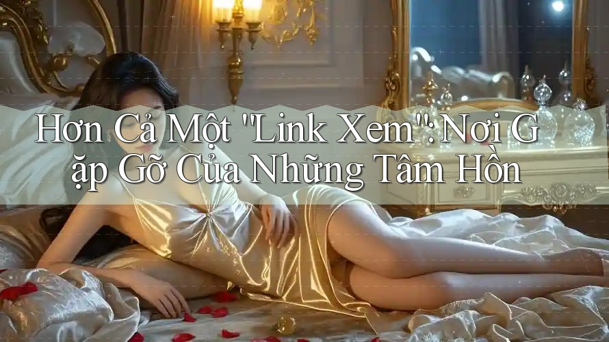 Hơn Cả Một “Link Xem”: Nơi Gặp Gỡ Của Những Tâm Hồn