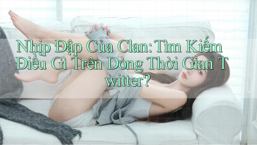 Nhịp Đập Của Clan: Tìm Kiếm Điều Gì Trên Dòng Thời Gian Twitter?