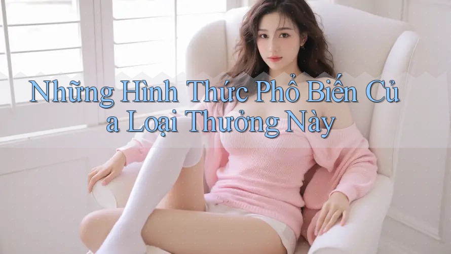 Những Hình Thức Phổ Biến Của Loại Thưởng Này