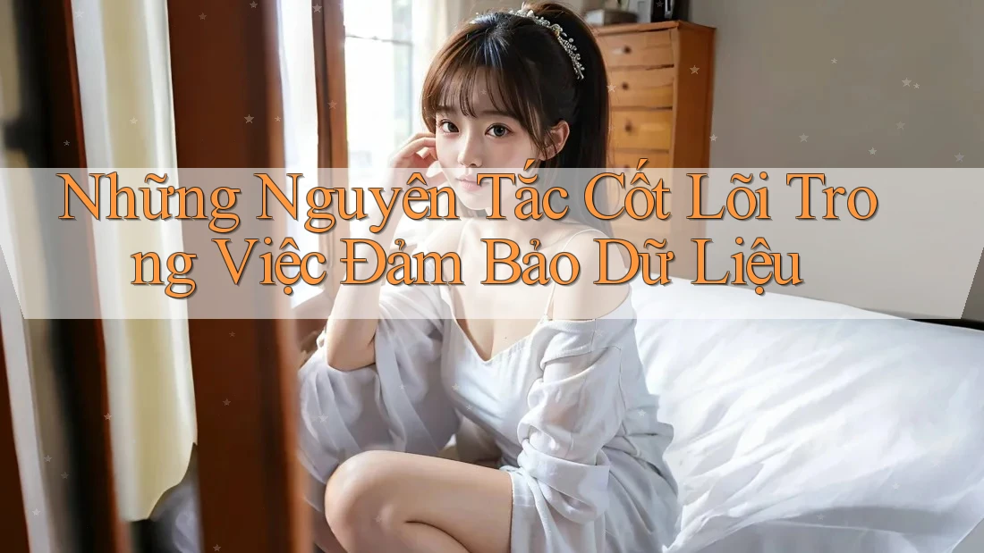 Những Nguyên Tắc Cốt Lõi Trong Việc Đảm Bảo Dữ Liệu