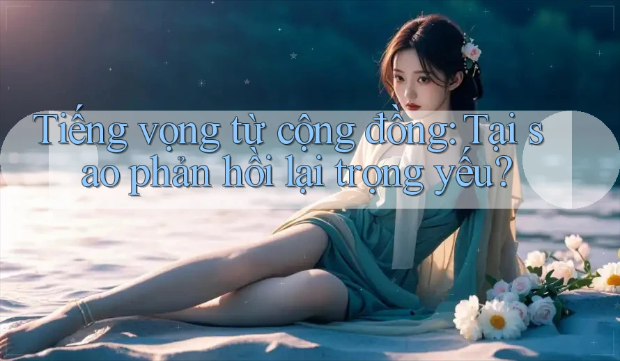 Tiếng vọng từ cộng đồng: Tại sao phản hồi lại trọng yếu?